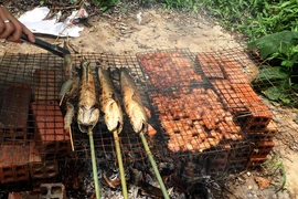 Cách để giảm nguy cơ ung thư khi nướng thịt