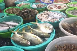 Những thực phẩm tốt nhất nên ăn để duy trì tuổi trẻ