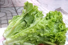 Những lợi ích bất ngờ của việc ăn rau xanh mỗi ngày