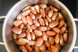 Hạt mít: những lợi ích sức khỏe mà ít người biết đến