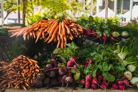 Cách để cải thiện mật độ xương và giảm nguy cơ viêm xương khớp