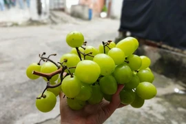  Nam giới nên ăn những thực phẩm này để tăng mức testosterone 