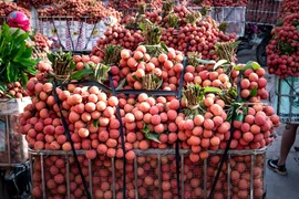 8 lợi ích bất ngờ của quả vải