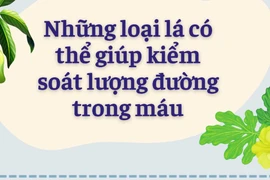 Những loại lá có thể giúp kiểm soát lượng đường trong máu