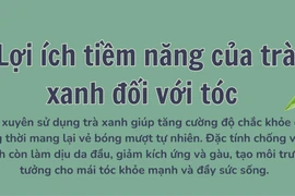 Lợi ích tiềm năng của trà xanh đối với tóc