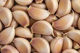 Tại sao ăn tỏi lại giúp kiểm soát mức cholesterol?
