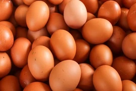 8 loại thực phẩm người trên 55 tuổi nên ăn mỗi ngày 