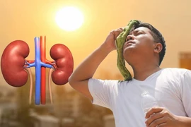 Cơ thể thiếu nước giữa nắng nóng, thận có thể chịu tổn thương nghiêm trọng 