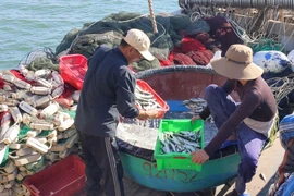Hỗ trợ ngư dân chuyển đổi sinh kế bền vững