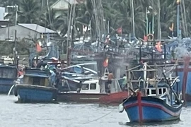 Tàu cá