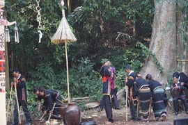 Về Đắk Lắk xem thầy cúng cầu mưa