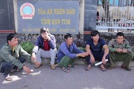 Chánh án tỉnh Kon Tum làm thẩm phán dự khuyết vụ gỗ khô
