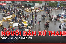 Ngư dân xứ Thanh vươn khơi bám biển, làm giàu từ biển
