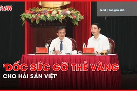 Video: Chuyên gia, nhà quản lý cùng báo Pháp Luật TP.HCM hiến kế gỡ thẻ vàng cho hải sản Việt 