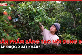 Cơ hội xuất khẩu văn hóa mạng xã hội, hot Tiktoker, Facebooker, Youtuber nghĩ gì?