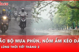 Nồm ẩm, mưa phùn phủ kín, cuối tháng 2 miền Bắc rét run