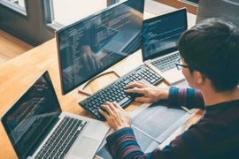 Làm IT nhưng sếp bảo cài win, sửa máy in: Có nên nghỉ việc?