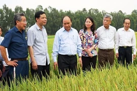 Mở rộng hạn điền: Gỡ nút thắt chuyện “nới diện tích'