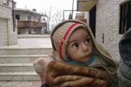 Ăn hết chó mèo, 40.000 người dân Syria ăn cỏ để sống