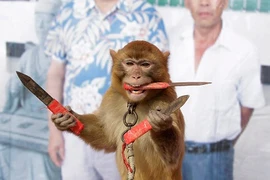 Làng 'tề thiên đại thánh' ở Trung Quốc