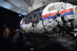 Đức ngăn thám tử tư công bố 'thông tin chấn động' vụ MH17
