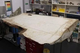 Khẳng định thêm một mảnh vỡ của MH370