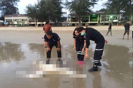 Tìm thấy 3 thi thể không nguyên vẹn ở bờ biển Thái Lan