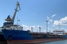Video binh sĩ Ukraine lục soát tàu dầu Nga, thẩm vấn thủy thủ