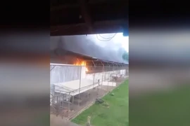 Đụng độ băng đảng trong nhà tù Brazil, 52 người thiệt mạng