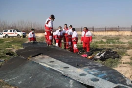 Hiện trường vụ rơi máy bay Ukraine sáng 8-1. Ảnh: GETTY