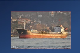 Ảnh chụp màn hình từ trang MarineTraffic.com về hình ảnh tàu chở hàng MV Rhosus của Nga. Ảnh: CNN