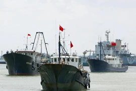Tàu cá Nhật hoạt động nơi khác để tránh đụng độ tàu cá TQ