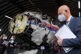 Thẩm phán nói có bằng chứng tên lửa Buk của Nga bắn rơi MH17