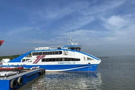 Đề xuất nâng công suất phà Cần Giờ - Vũng Tàu, Cần Giờ - Cần Giuộc vì dự báo quá tải