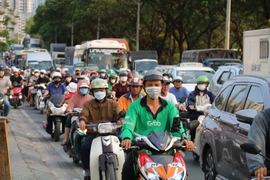 Thi tuyển thiết kế kiến trúc đường trên cao dài hơn 6,6 km ở khu Nam TP.HCM