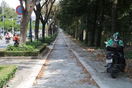 Làn đường riêng cho xe đạp dần lộ diện trên đại lộ Mai Chí Thọ
