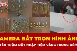 Làm ăn thua lỗ, đột nhập tiệm vàng lấy tài sản hơn 3 tỉ trong đêm
