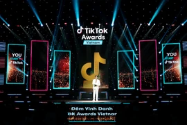 Ai là nhà sáng tạo ấn tượng trên TikTok trong năm 2020? 