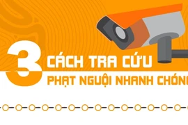 3 cách tra cứu phạt nguội giao thông nhanh chóng
