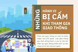 Những hành vi bị cấm khi tham gia giao thông
