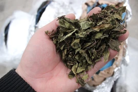 Hải quan bắt giữ một container nghi lá khát 