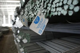 DN ở châu Âu cung cấp thiết bị cho thép Hòa Phát