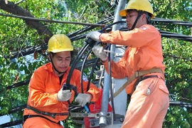ĐBQH đề nghị không tăng giá điện