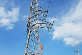 Khắc phục xong sự cố đường dây vượt biển Cát Bà