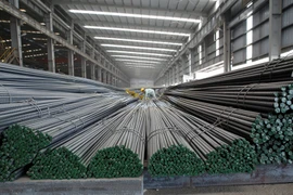 Tỉ phú Trần Đình Long muốn 'vẽ lại bản đồ ngành thép'