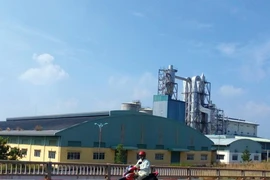 Bột giấy Phương Nam đấu giá 4 lần không ai mua