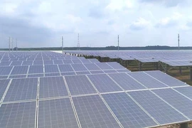 Gấp rút đóng điện mặt trời trước ngày 30-6
