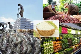 Thực thi Hiệp định EVFTA: 'Nói dễ nhưng làm thì khó'