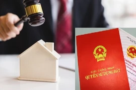 Hà Nội: Công an xác minh dấu hiệu bất thường tại phiên đấu giá 22 thửa đất ở Thanh Oai