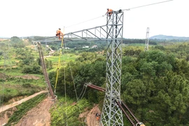Năm thứ 2 liên tiếp EVN có lợi nhuận